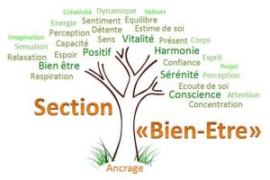 Kinésiologie formation Stress release