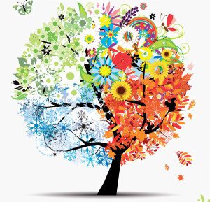 Ateliers 5 saisons KinésYoga